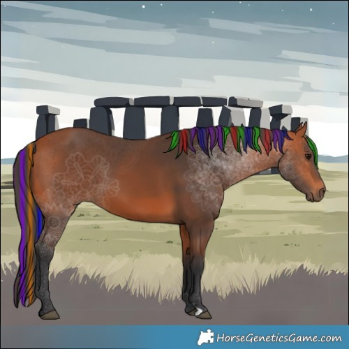 Horse Color:Painted Bay 
