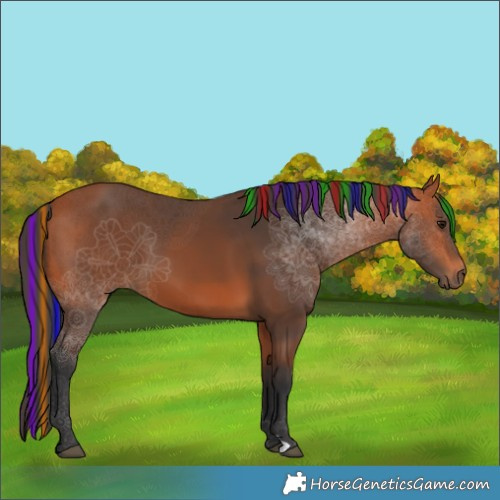 Horse Color:Painted Bay 