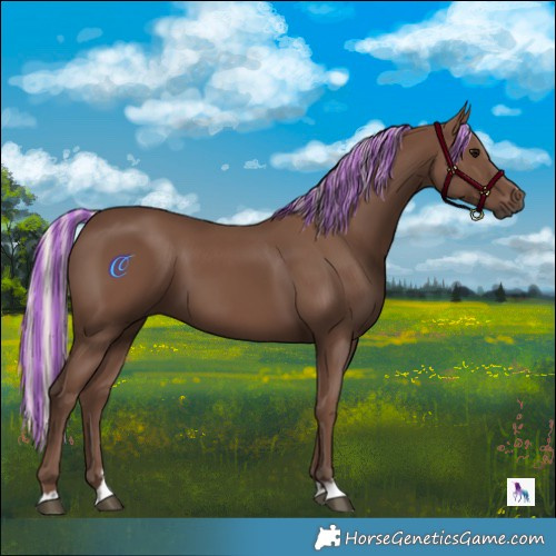 Horse Color:Painted Silver Black 