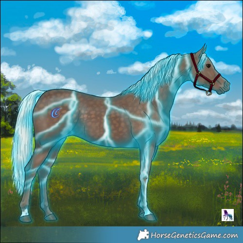 Horse Color:Thunderstruck Silver Black