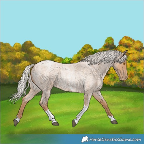 Horse Color:Silver Blue Roan Pearl Tobiano Frame 