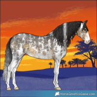 Horse Color:Buckskin Sabino