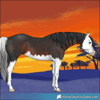 Horse Color:Brown Splash