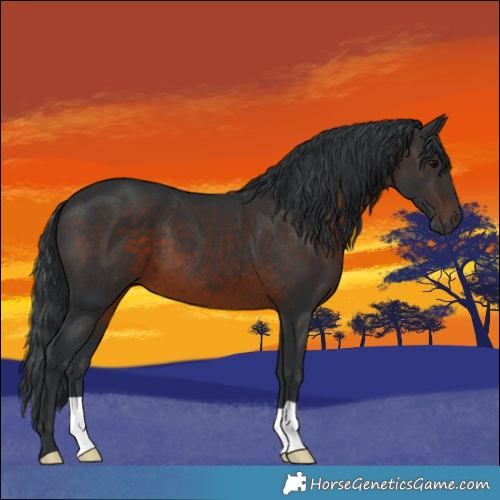Horse Color:Brown 