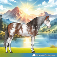 Horse Color:White Spotted Bay