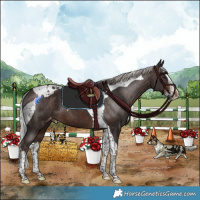 Horse Color:Silver Brown Splash Tobiano Varnish 