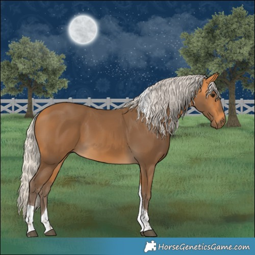Horse Color:Silver Buckskin Tobiano 