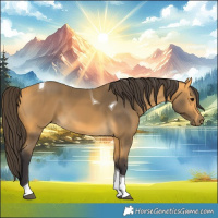 Horse Color:Buckskin Tobiano 