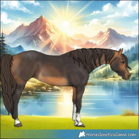 Horse Color:Buckskin Tobiano 
