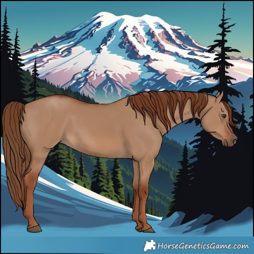 Horse Color:Red Dun 