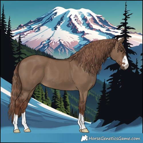 Horse Color:Liver Red Dun 