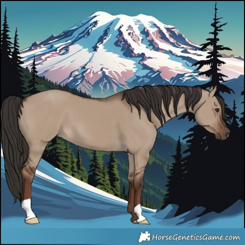Horse Color:Liver Red Dun 