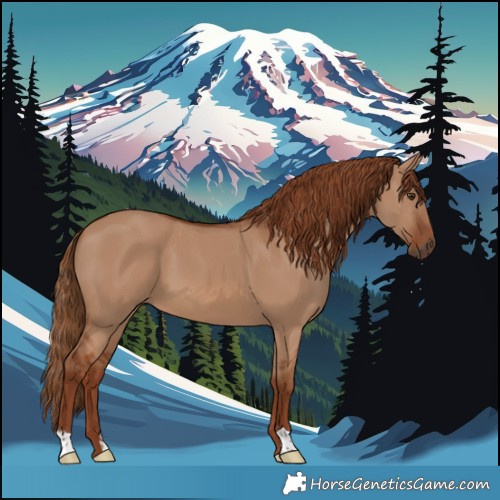 Horse Color:Red Dun 