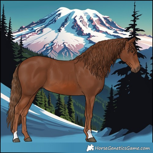 Horse Color:Chestnut 
