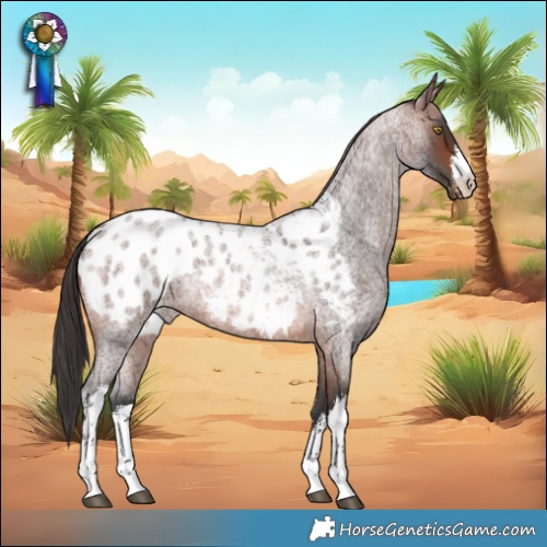 Horse Color:White Spotted Brown Roan Appaloosa Rabicano