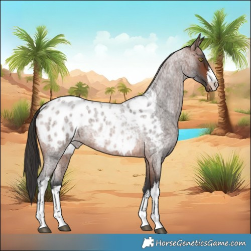 Horse Color:White Spotted Brown Roan Appaloosa Rabicano