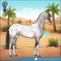 Horse Color:White Spotted Brown Roan Appaloosa Rabicano 
