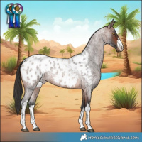 Horse Color:White Spotted Brown Roan Blanket Rabicano 