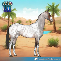 Horse Color:White Spotted Brown Roan Blanket Rabicano 