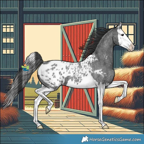 Horse Color:Blue Roan Splash Blanket 