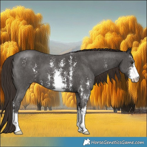 Horse Color:Liver Chestnut Sabino 