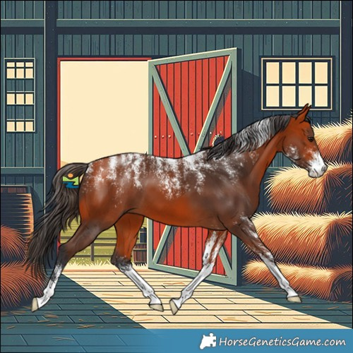Horse Color:Powder White Bay 