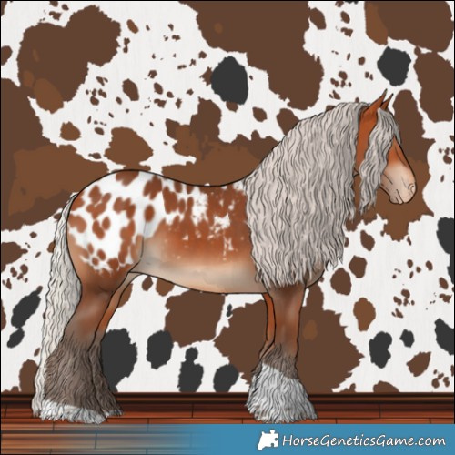 Horse Color:Silver Bay Tobiano Blanket 
