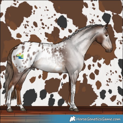 Horse Color:Gray Chestnut Tobiano Blanket 