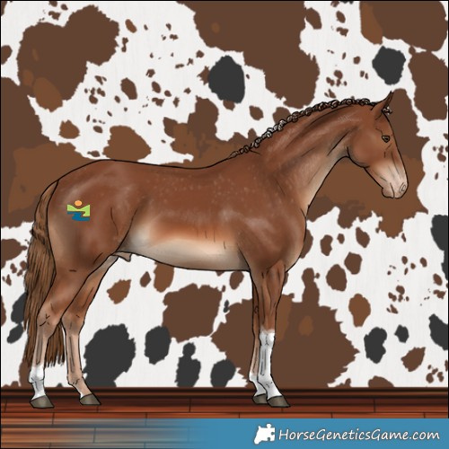 Horse Color:Chestnut Tobiano Varnish 