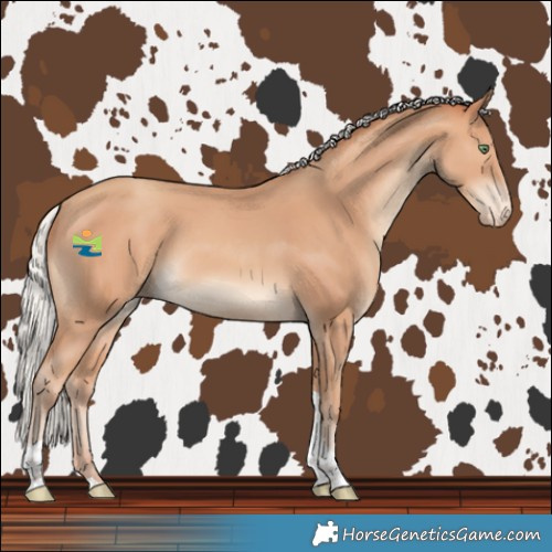 Horse Color:Silver Amber Champagne Tobiano Varnish 