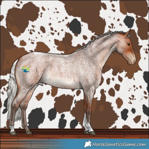 Horse Color:Silver Bay Roan Tobiano Varnish 