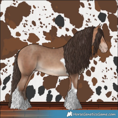 Horse Color:Amber Champagne Tobiano 