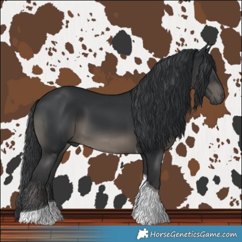 Horse Color:Black Tobiano 
