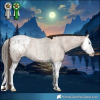 Horse Color:Classic Champagne Roan Splash Varnish 