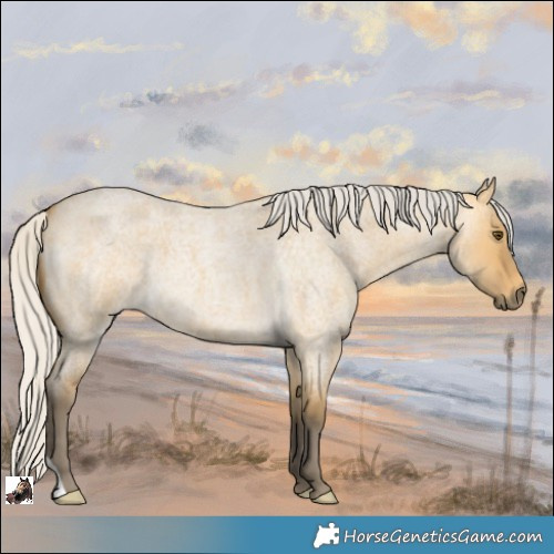 Horse Color:Silver Buckskin Roan Dun 