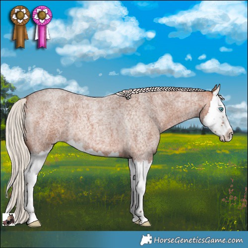 Horse Color:Silver Bay Roan Splash 