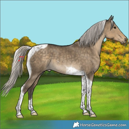 Horse Color:Silver Smoky Grullo Tobiano 
