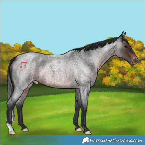 Horse Color:Brown Roan Varnish 