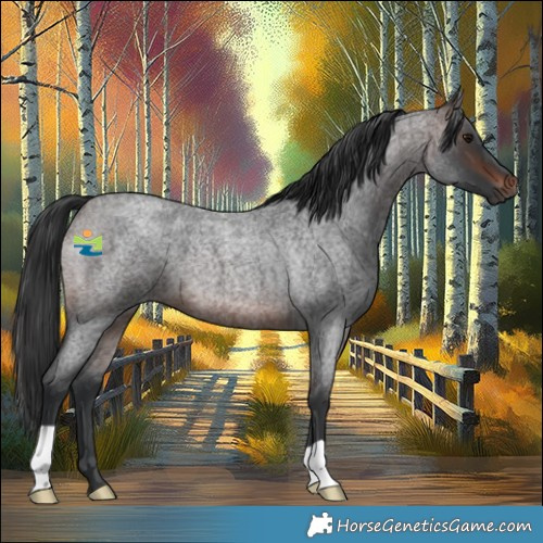 Horse Color:Brown Roan 