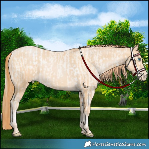 Horse Color:Silver Amber Cream Champagne Pearl Tobiano Varnish Rabicano and Buckskin Pearl Rabicano