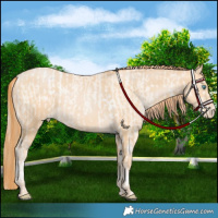 Horse Color:Silver Amber Cream Champagne Pearl Tobiano Appaloosa Rabicano and Buckskin Pearl Rabicano