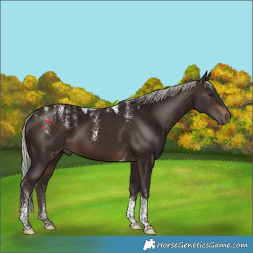 Horse Color:Powder White Silver Brown Tobiano 