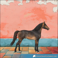 Horse Color:Buckskin Rabicano 