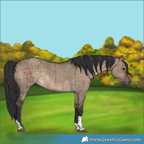 Horse Color:Brown Dun Tobiano Rabicano Brindle 