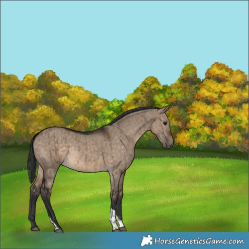 Horse Color:Brown Dun Tobiano Rabicano Brindle 