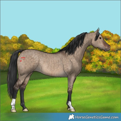 Horse Color:Brown Dun Rabicano Brindle