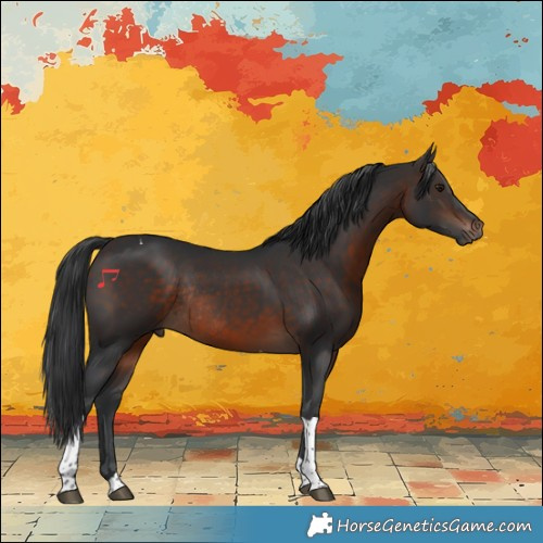 Horse Color:Brown Tobiano Rabicano 