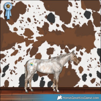 Horse Color:Chocolate Palomino Roan Blanket 