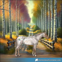 Horse Color:Chocolate Palomino Roan Appaloosa 