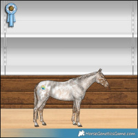 Horse Color:Chocolate Palomino Roan Blanket 